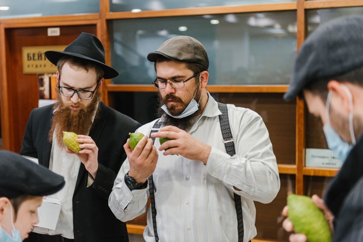 הושלמו ההכנות במוסקבה לקראת חג הסוכות