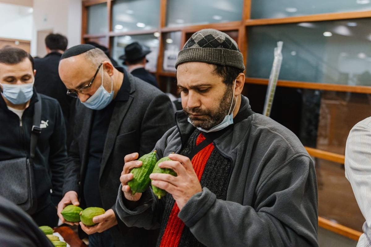 הושלמו ההכנות במוסקבה לקראת חג הסוכות