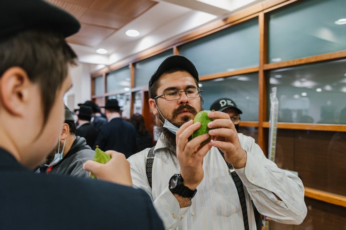 הושלמו ההכנות במוסקבה לקראת חג הסוכות