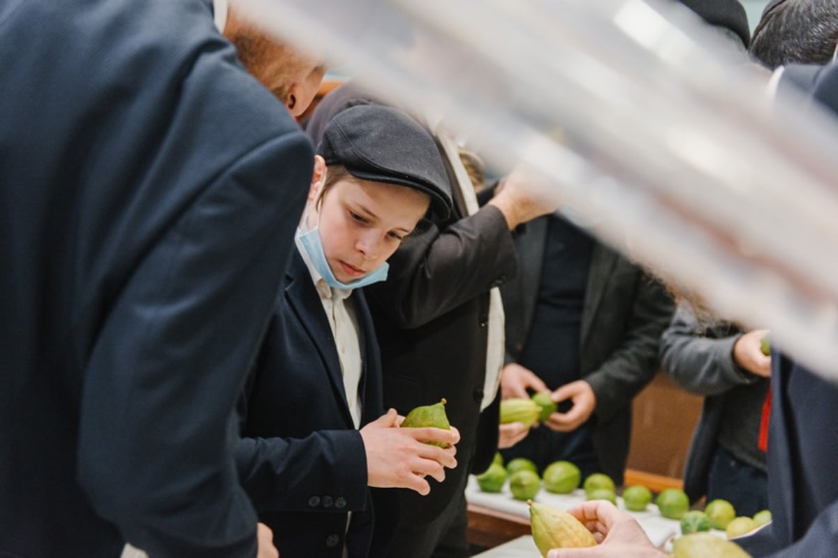 הושלמו ההכנות במוסקבה לקראת חג הסוכות