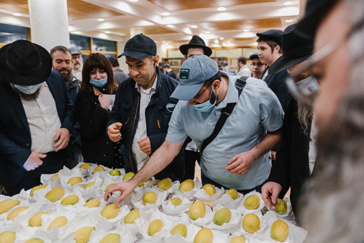 הושלמו ההכנות במוסקבה לקראת חג הסוכות