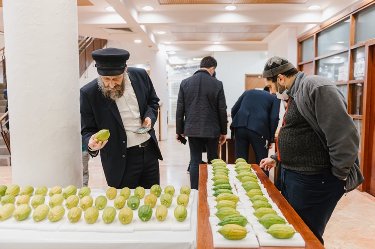 הושלמו ההכנות במוסקבה לקראת חג הסוכות