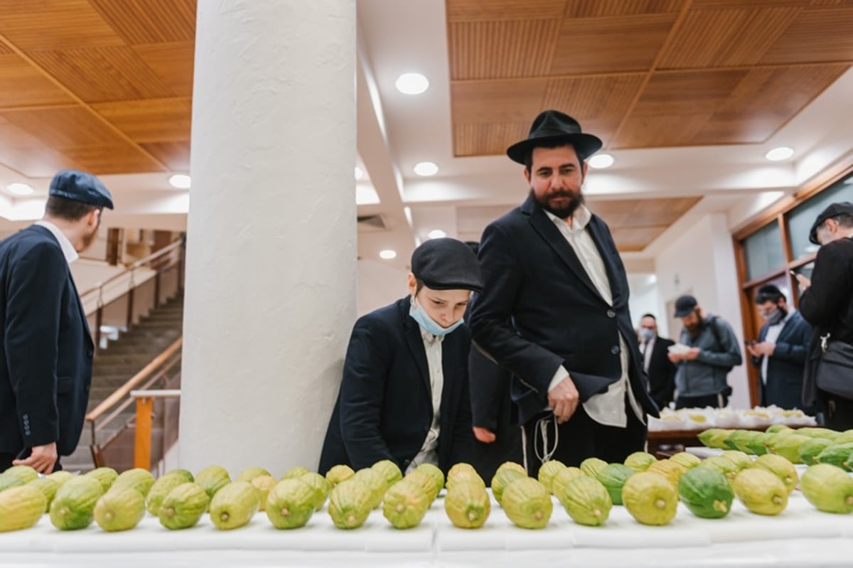 הושלמו ההכנות במוסקבה לקראת חג הסוכות