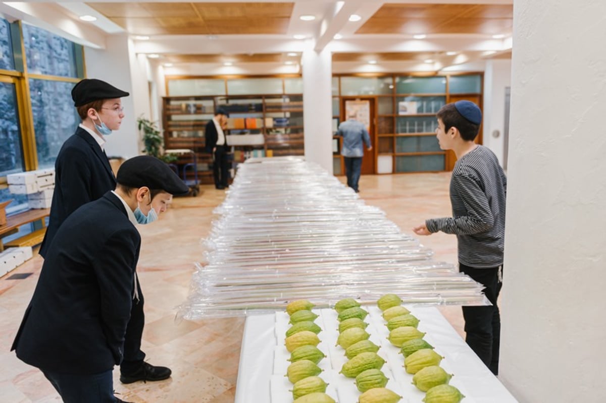 הושלמו ההכנות במוסקבה לקראת חג הסוכות