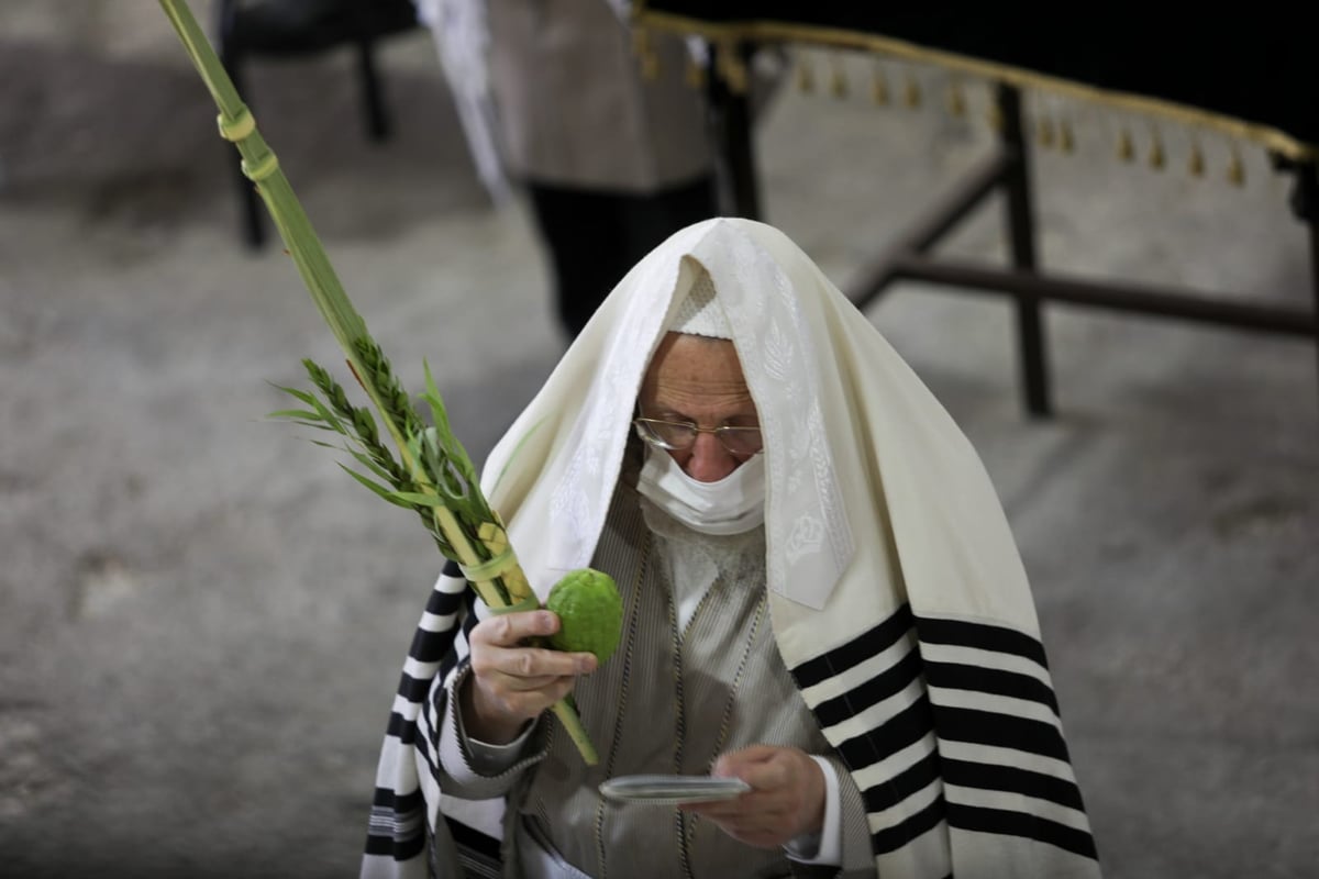 בהתאם להנחיות: תפילת חול המועד בקרלין