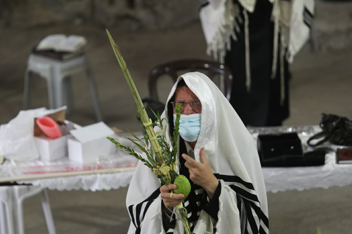 בהתאם להנחיות: תפילת חול המועד בקרלין