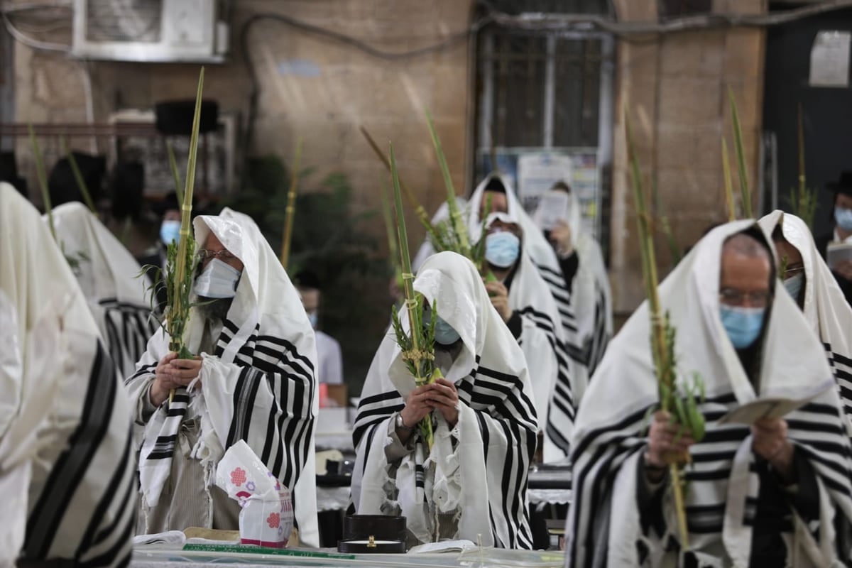 בהתאם להנחיות: תפילת חול המועד בקרלין