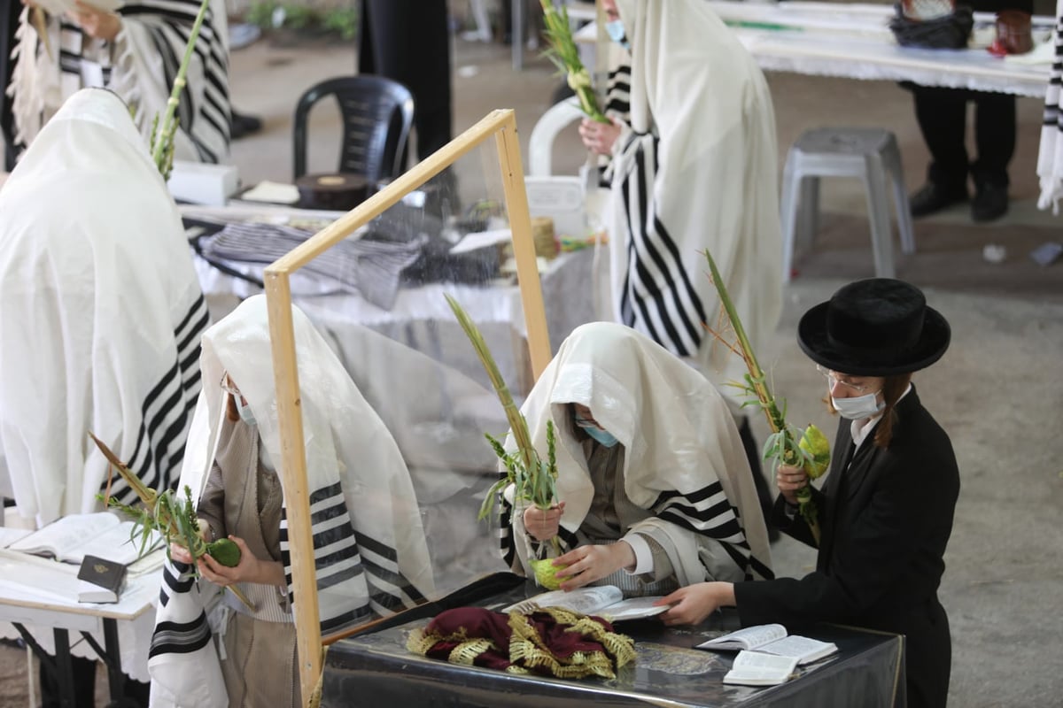 בהתאם להנחיות: תפילת חול המועד בקרלין