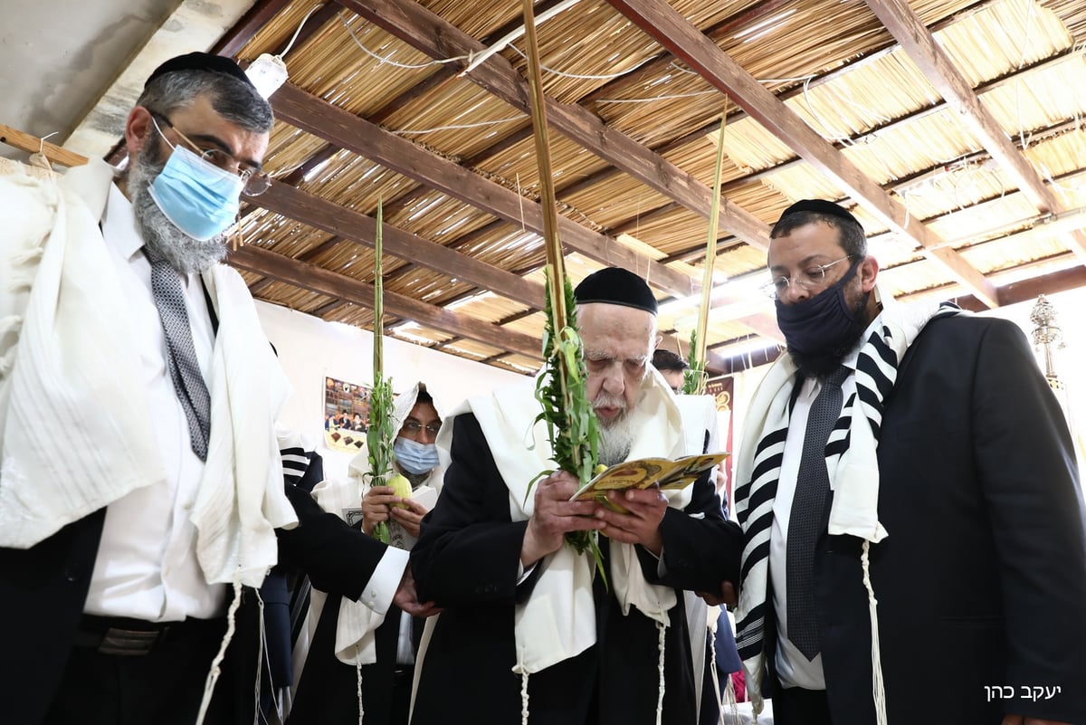 בסוכה, במניין מצומצם: נשיא המועצת בנטילת לולב