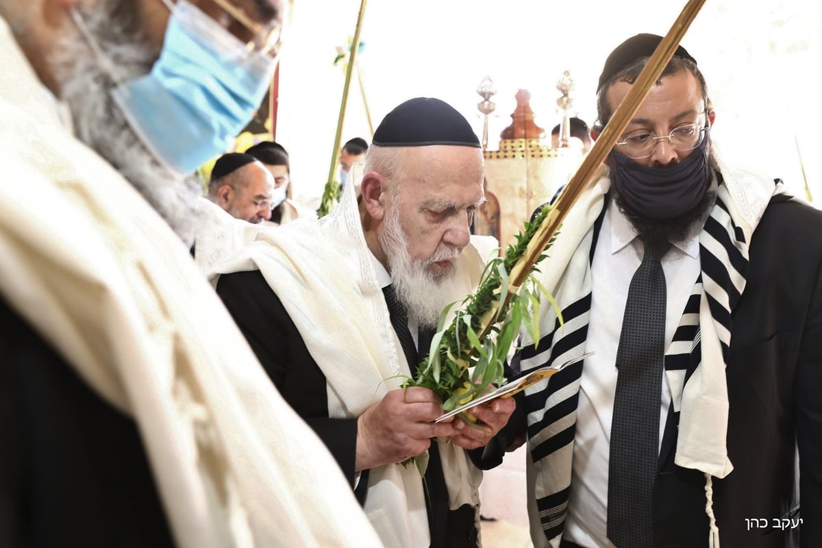 בסוכה, במניין מצומצם: נשיא המועצת בנטילת לולב