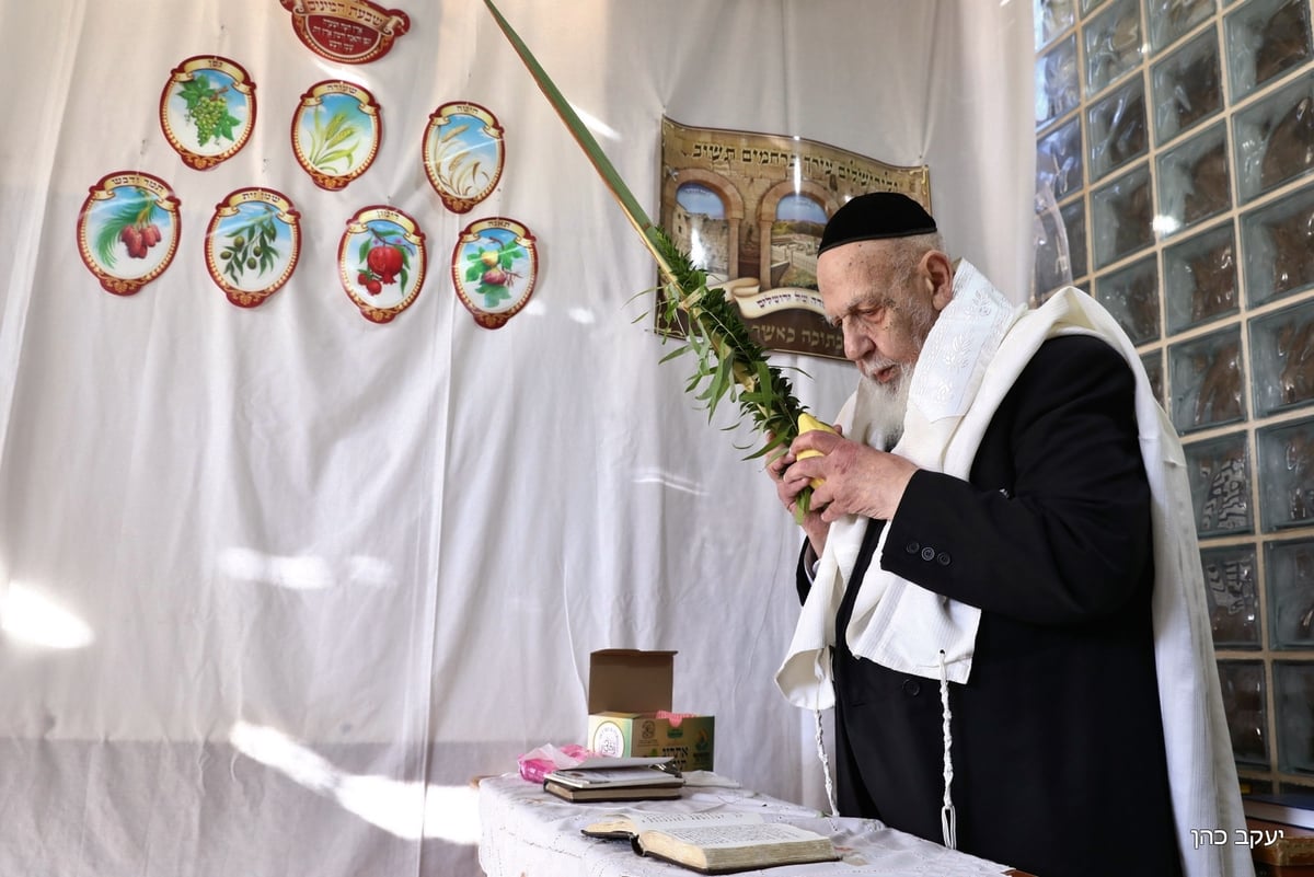 בסוכה, במניין מצומצם: נשיא המועצת בנטילת לולב