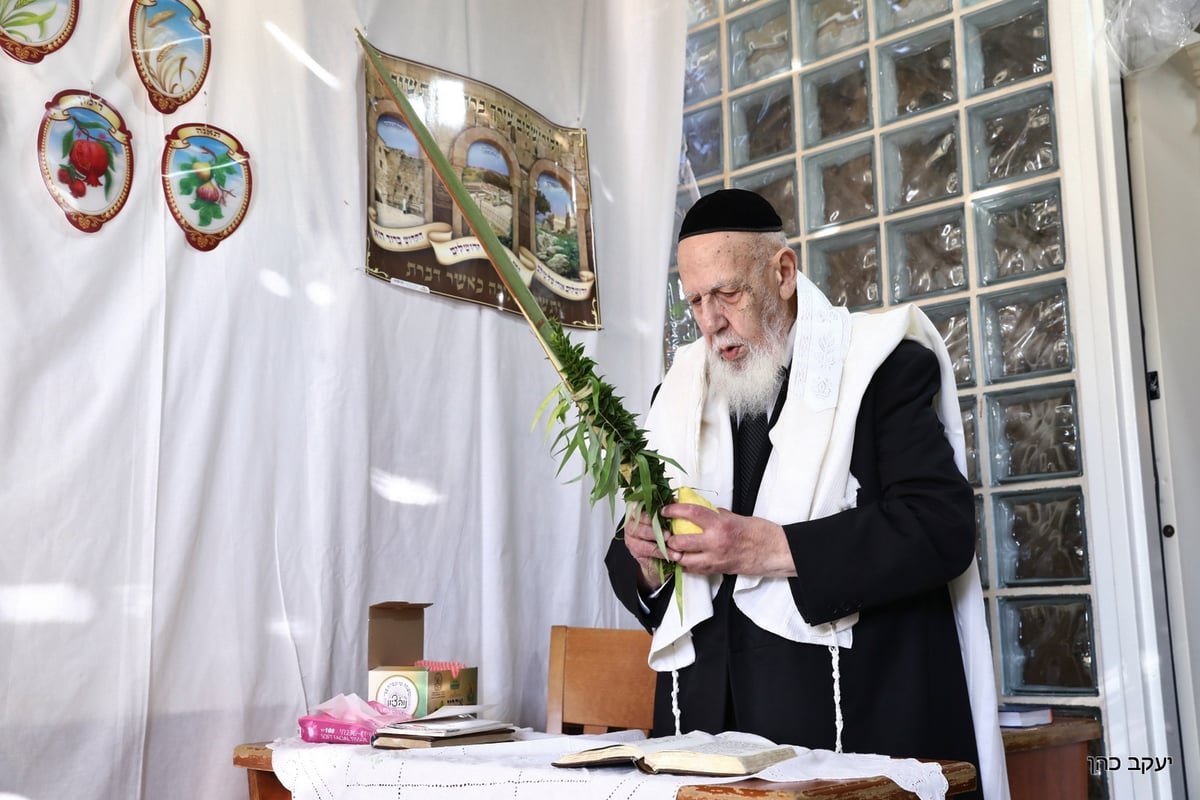 בסוכה, במניין מצומצם: נשיא המועצת בנטילת לולב