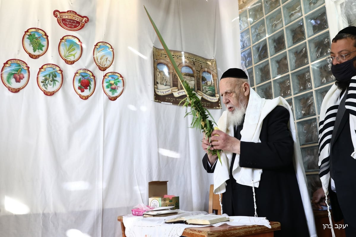 בסוכה, במניין מצומצם: נשיא המועצת בנטילת לולב