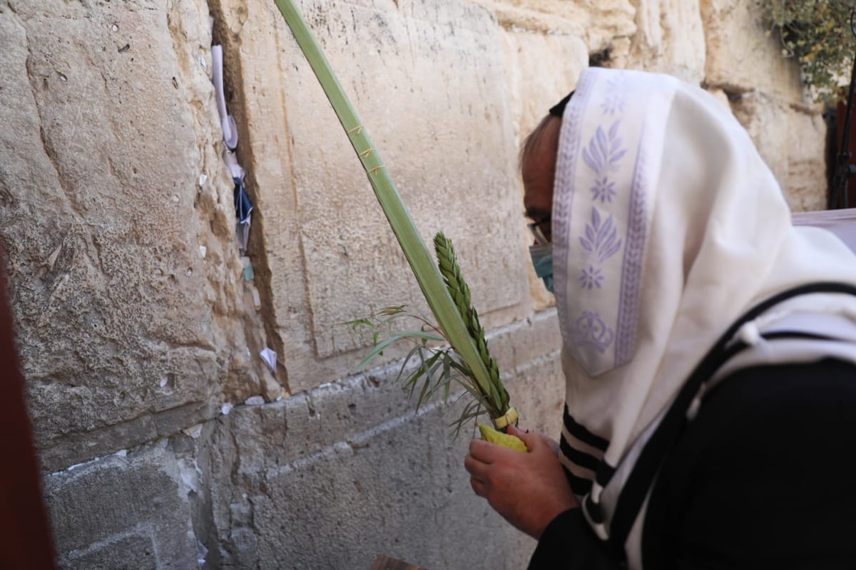 במקום רבבות, מאות; מעמד "ברכת כהנים" בכותל המערבי