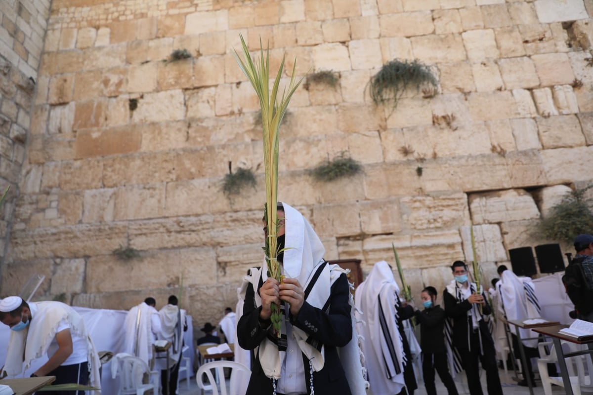 במקום רבבות, מאות; מעמד "ברכת כהנים" בכותל המערבי