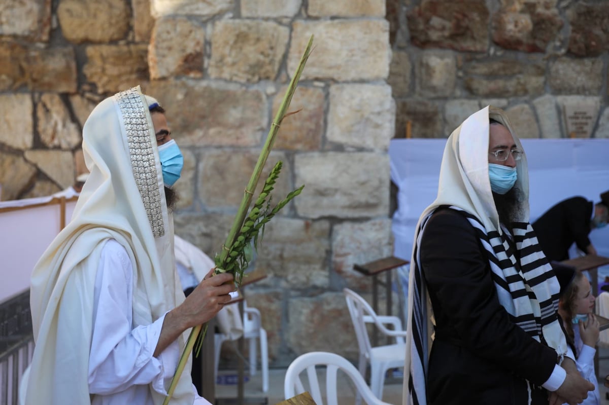 במקום רבבות, מאות; מעמד "ברכת כהנים" בכותל המערבי