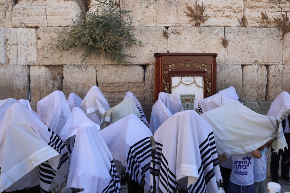 במקום רבבות, מאות; מעמד "ברכת כהנים" בכותל המערבי