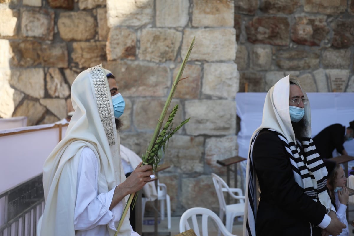 במקום רבבות, מאות; מעמד "ברכת כהנים" בכותל המערבי