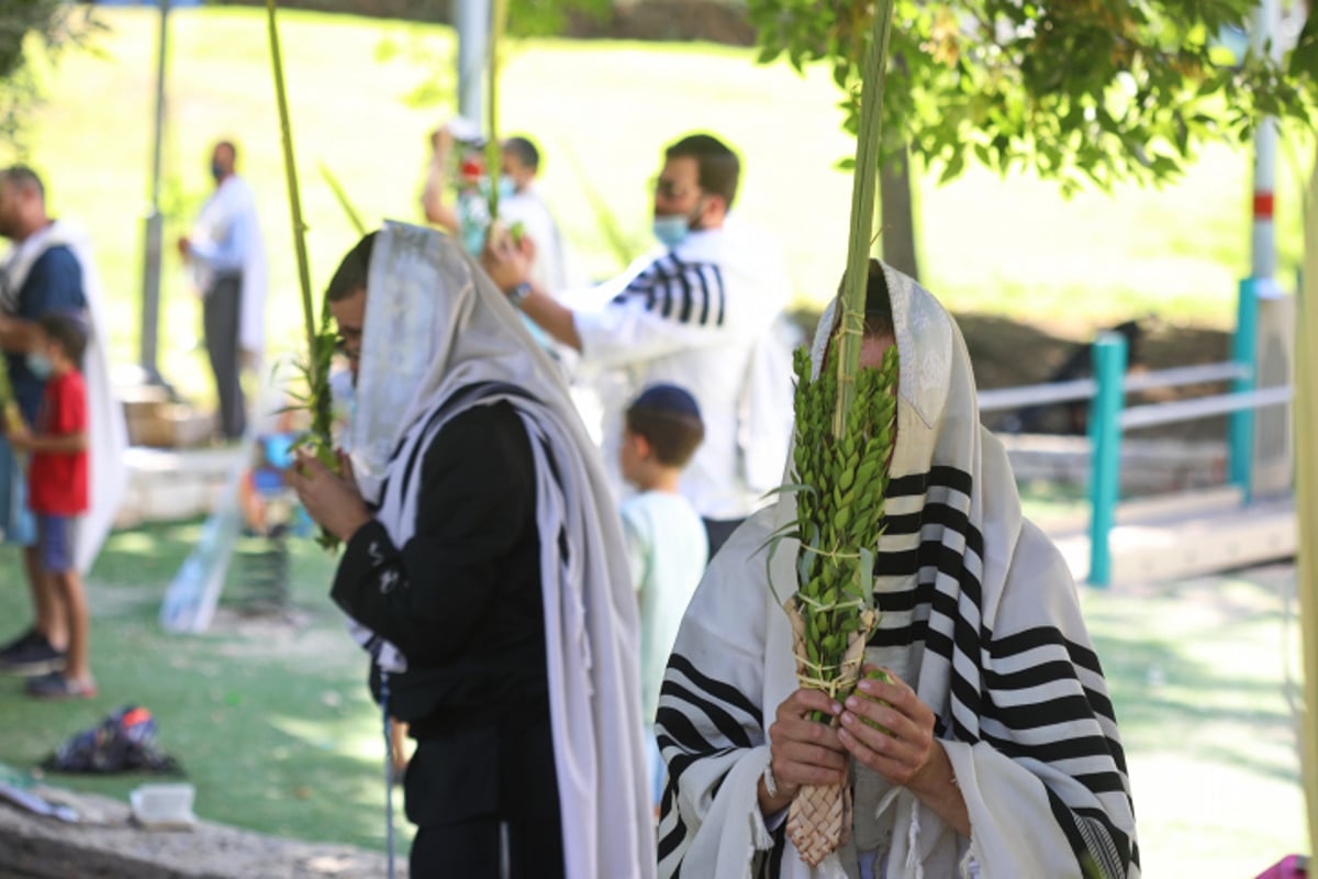 ה'קרלביכסטים' לא ויתרו • צפו בתפילת החג