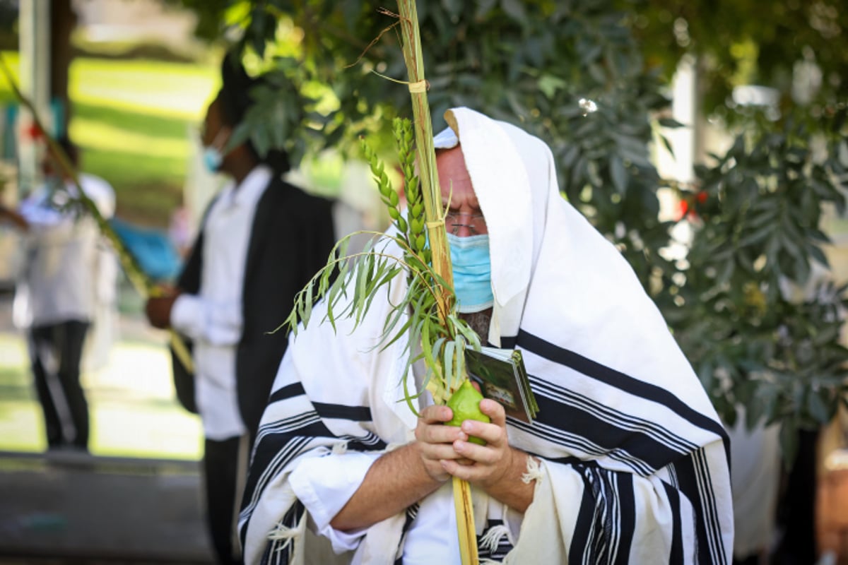 ה'קרלביכסטים' לא ויתרו • צפו בתפילת החג