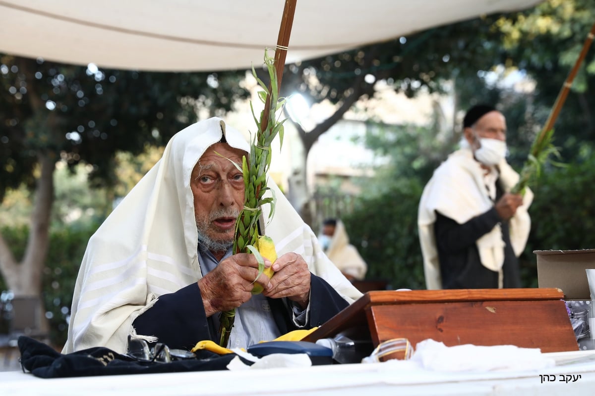 תפילת החג וההושענות של הגאון רבי משה מאיה