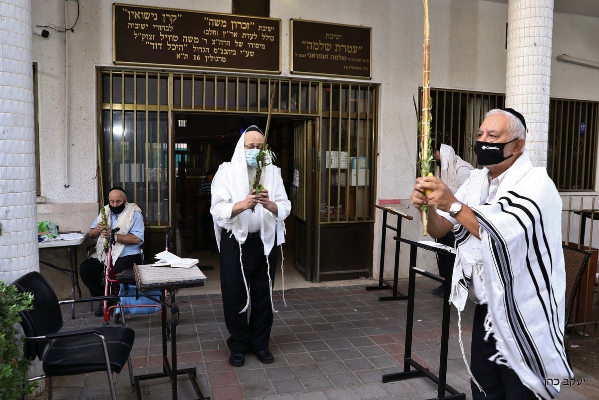 תפילת החג וההושענות של הגאון רבי משה מאיה