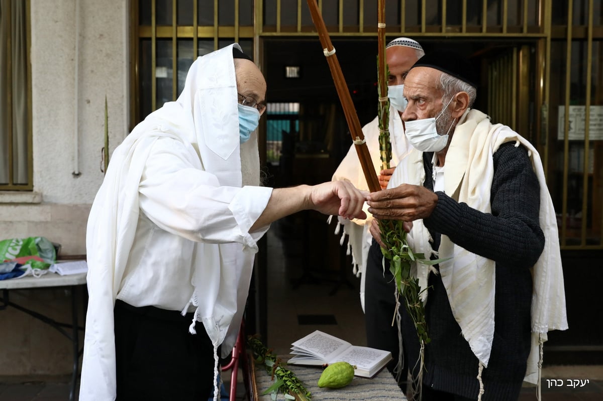 תפילת החג וההושענות של הגאון רבי משה מאיה