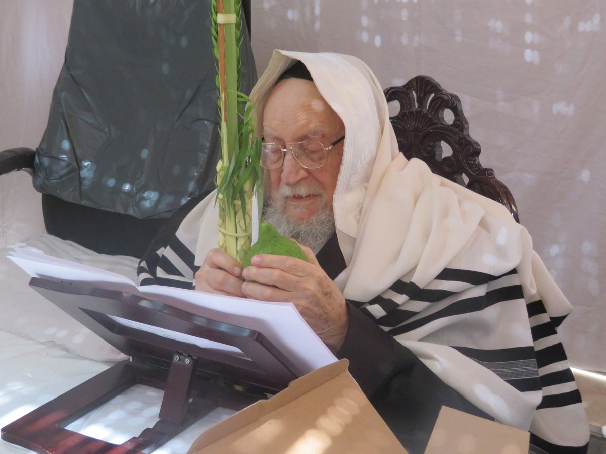 סוכות אצל זקן ראשי הישיבות הגר"י שיינר. צפו