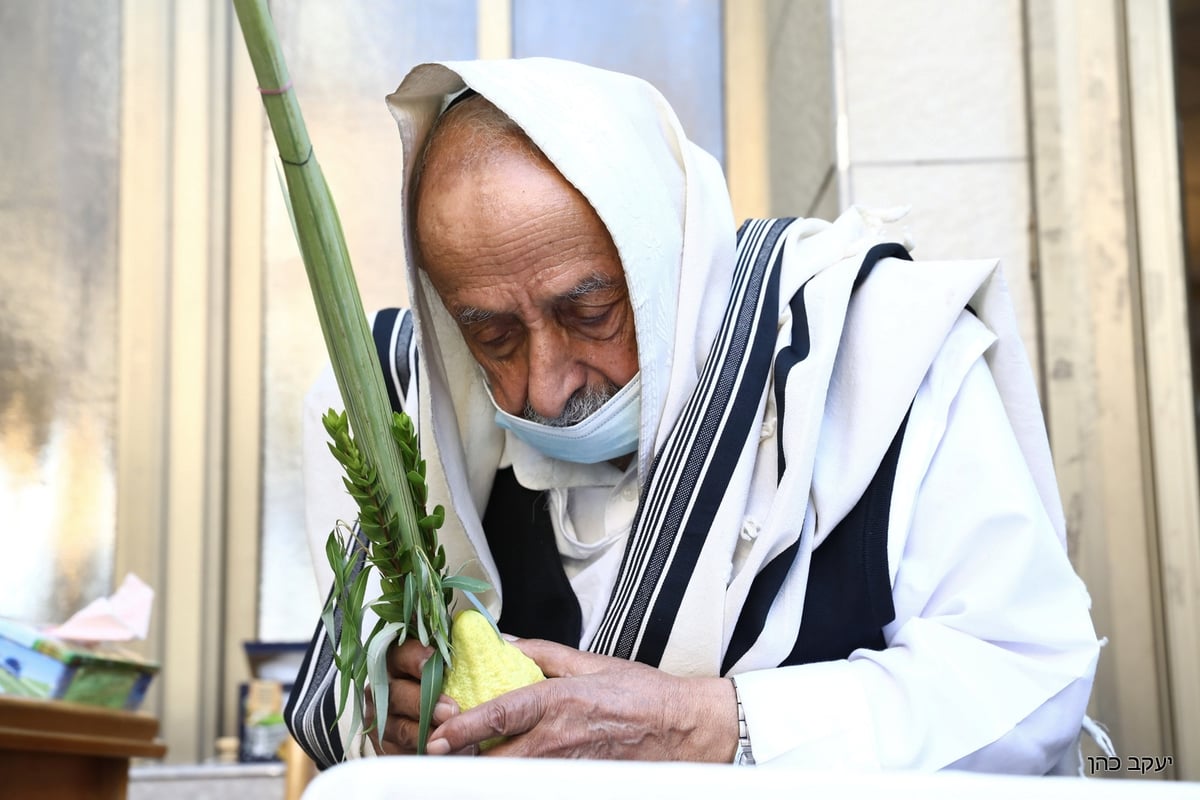 הגר"ש בעדני בתפילת שחרית והושענות