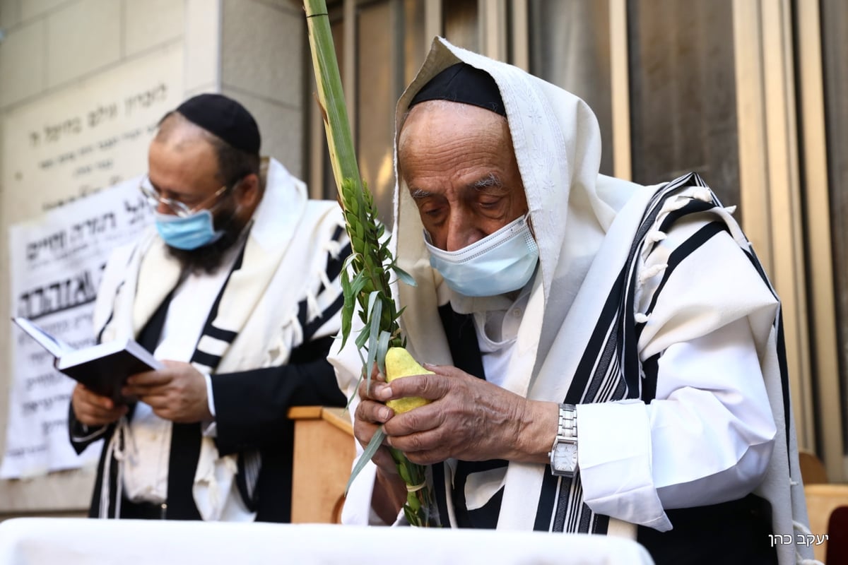 הגר"ש בעדני בתפילת שחרית והושענות