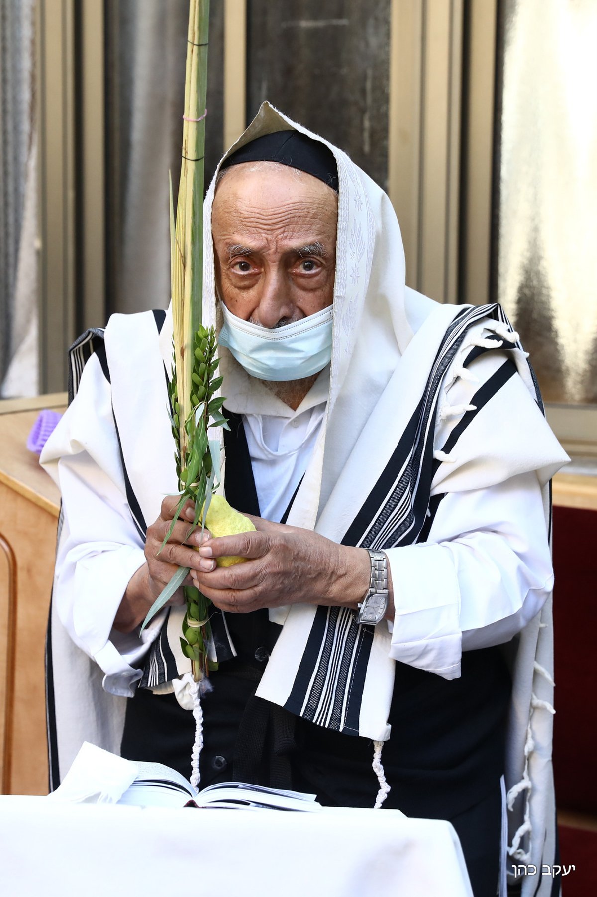 הגר"ש בעדני בתפילת שחרית והושענות