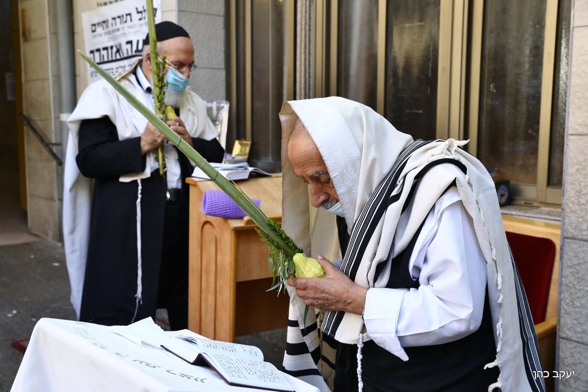 הגר"ש בעדני בתפילת שחרית והושענות