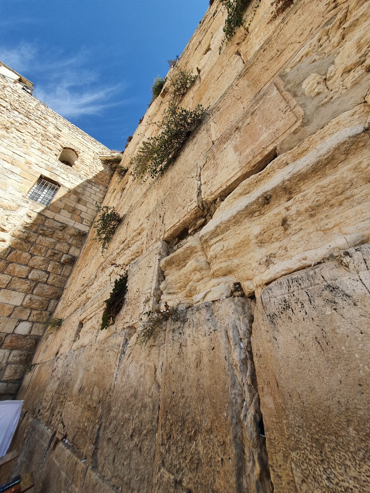 תיעוד מסכם: הכותל המערבי והרובע היהודי בחול המועד סוכות