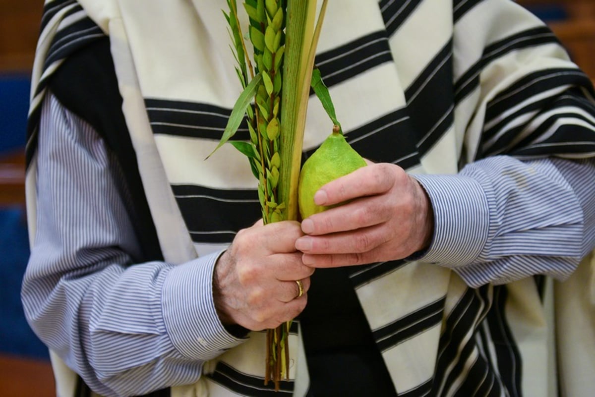 מְבַשֵּׂר וְאוֹמֵר: הושענא רבא בבירת רוסיה