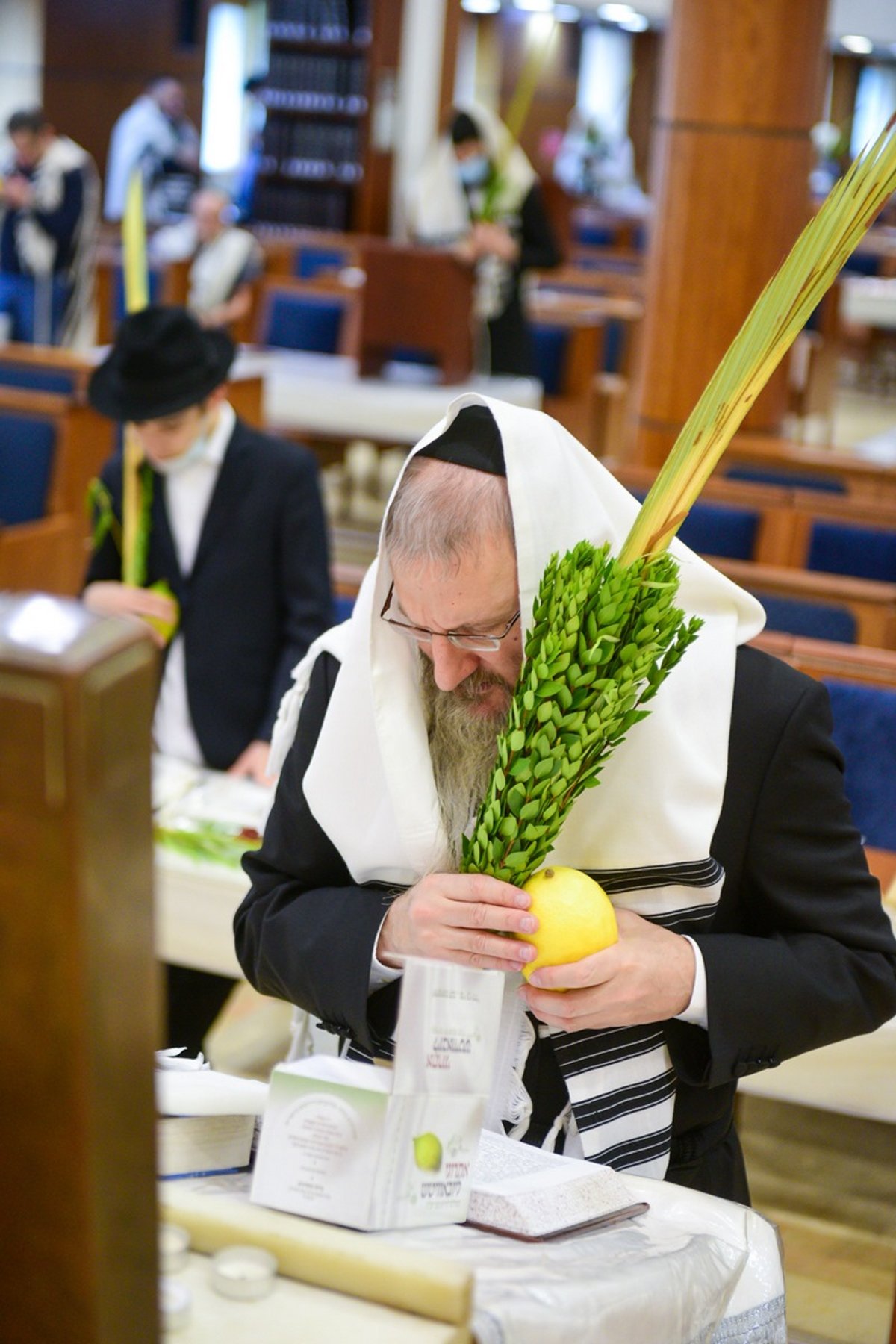 מְבַשֵּׂר וְאוֹמֵר: הושענא רבא בבירת רוסיה