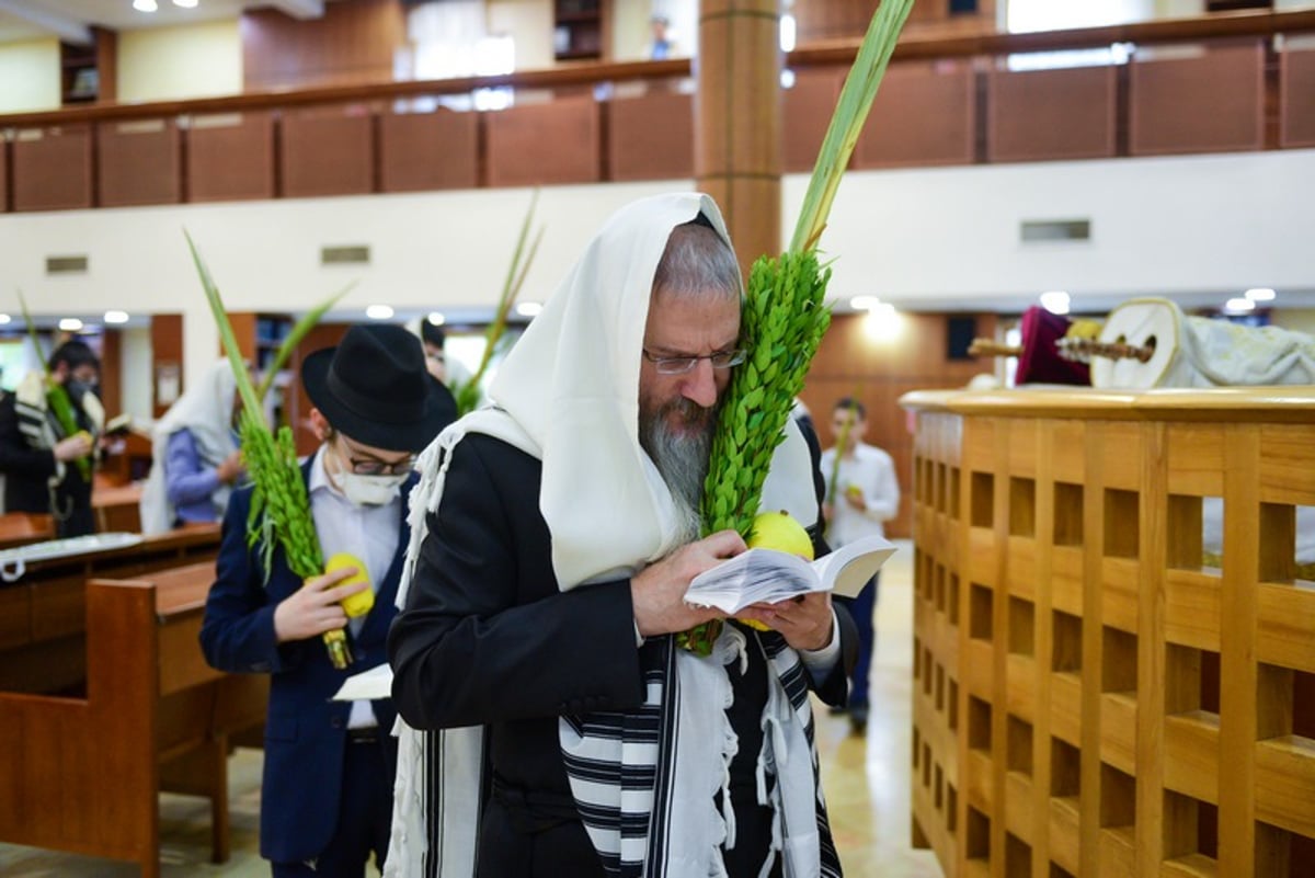 מְבַשֵּׂר וְאוֹמֵר: הושענא רבא בבירת רוסיה