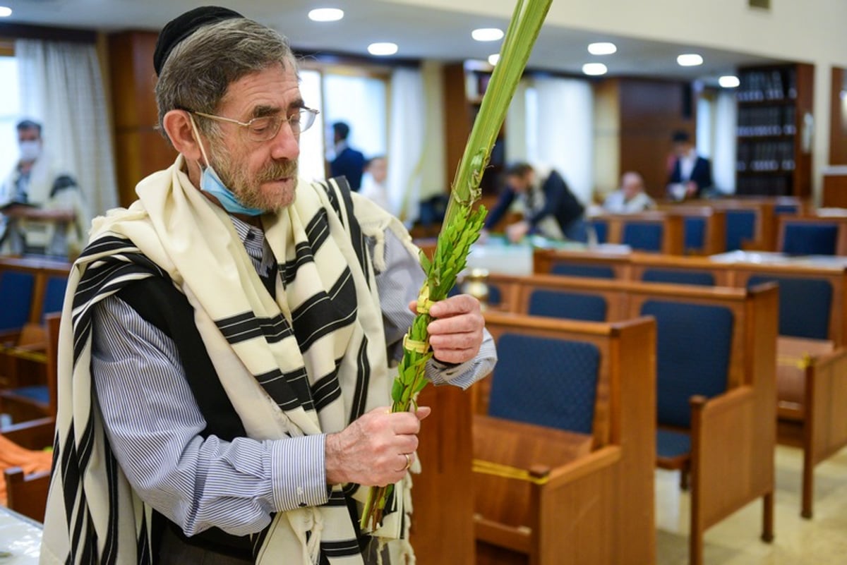 מְבַשֵּׂר וְאוֹמֵר: הושענא רבא בבירת רוסיה