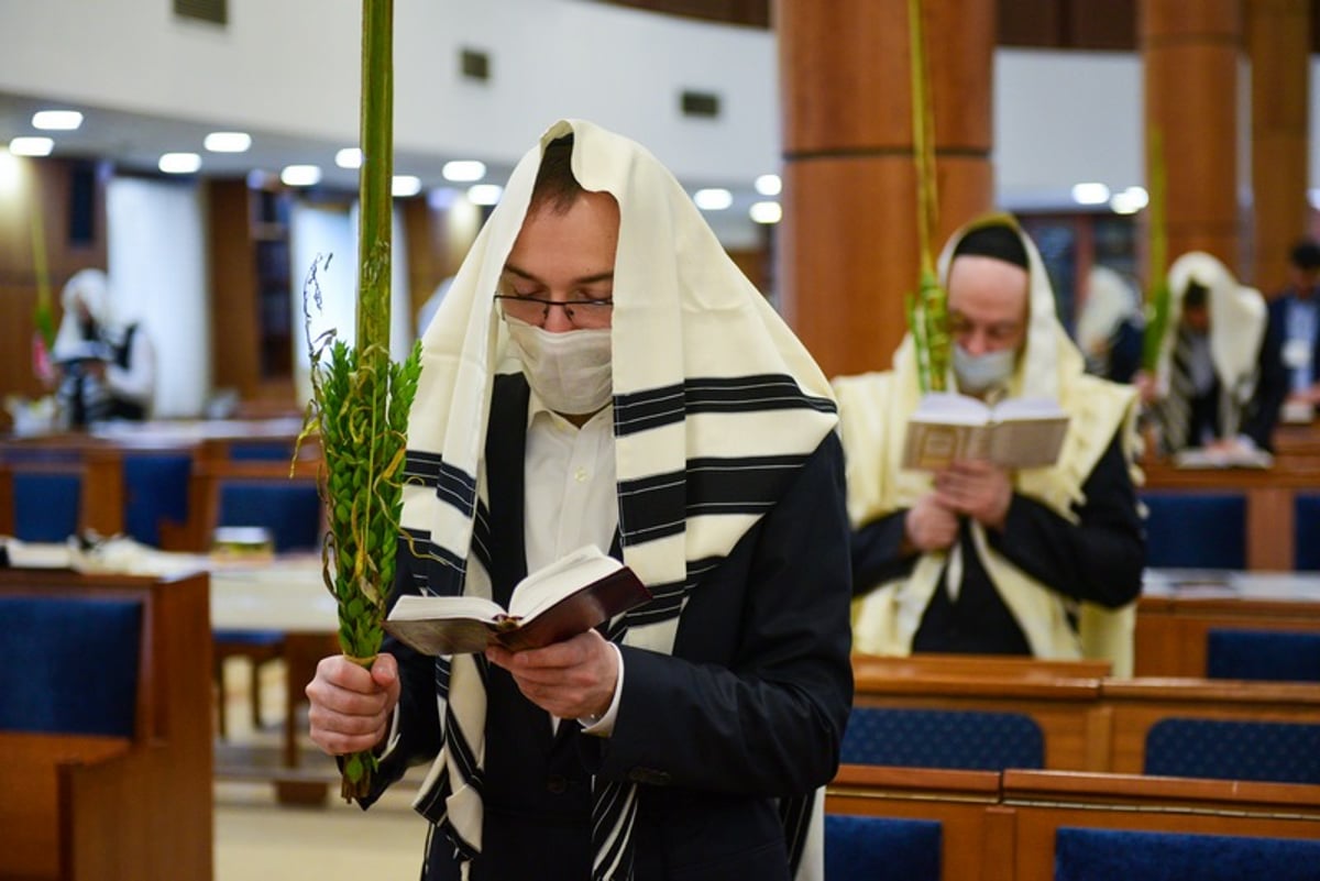 מְבַשֵּׂר וְאוֹמֵר: הושענא רבא בבירת רוסיה