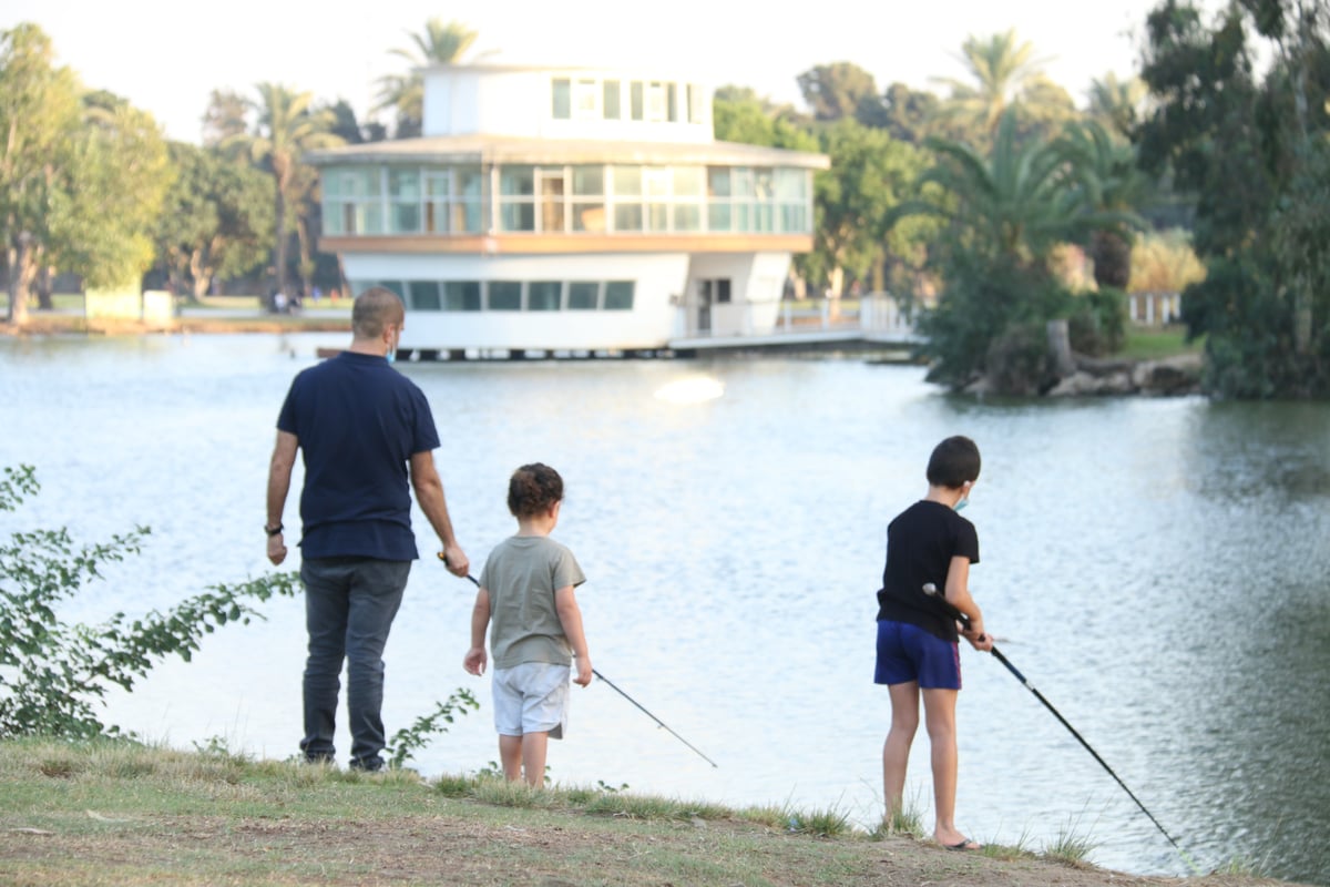 אחרי הסגר • צפו במבלים ב'פארק הלאומי'