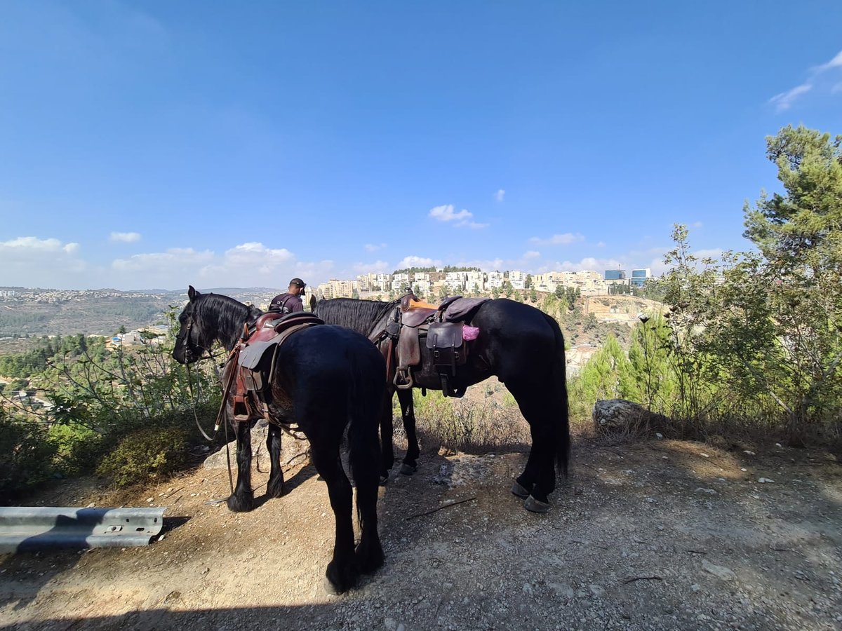 הצעירה החרדית אותרה ביער ללא רוח חיים; המצלמות גילו