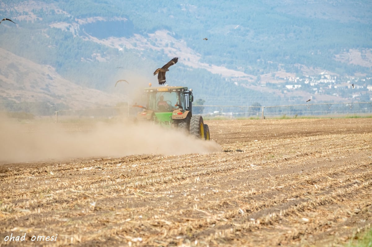 מרהיב: תמונות הטבע והנוף באגמון החולה