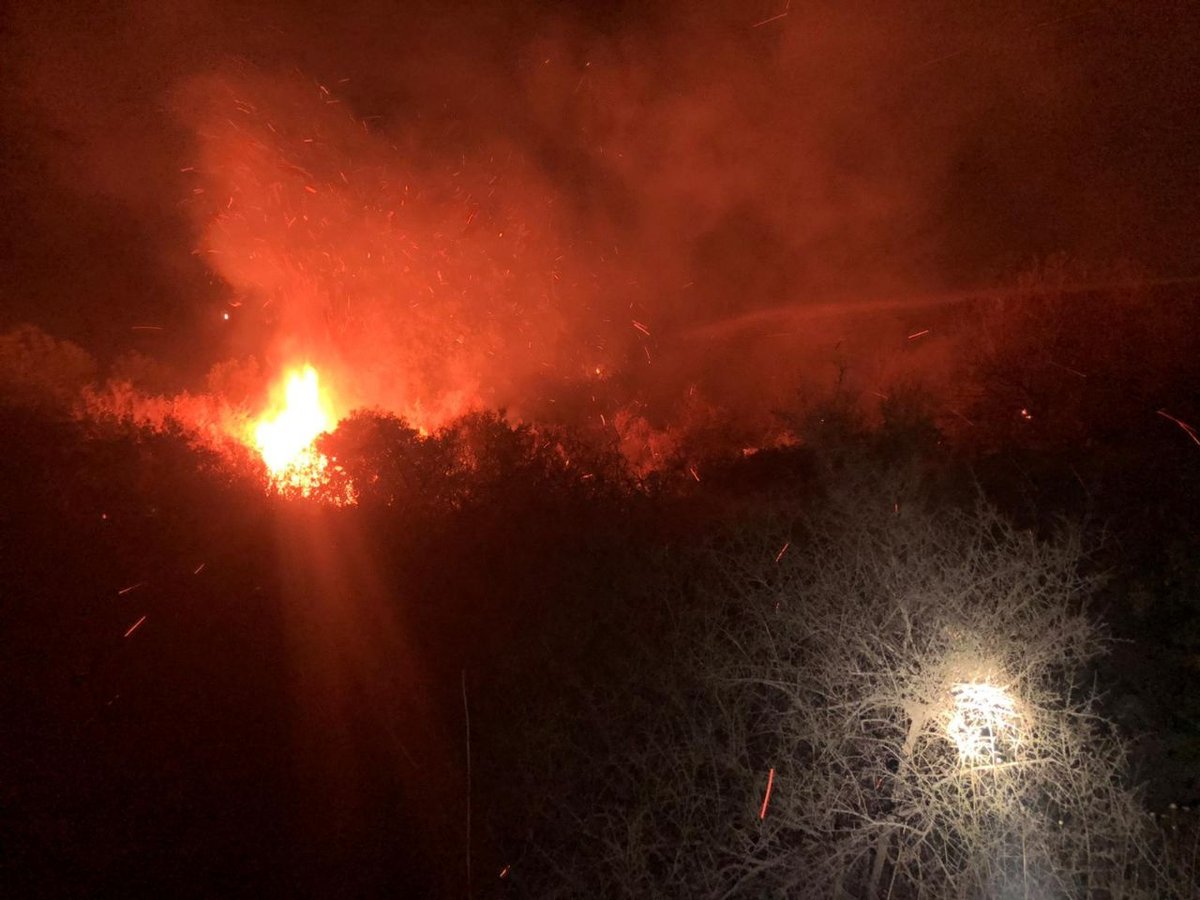 (צילום: דוברות כב"ה זבולון