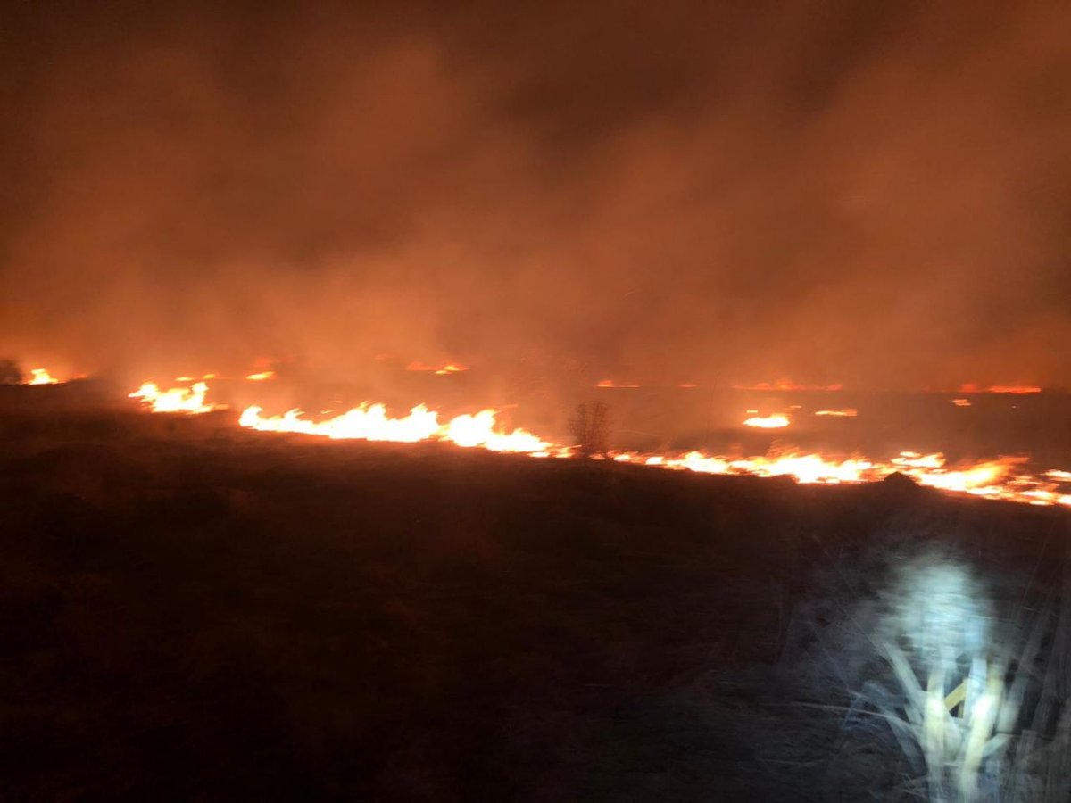 (צילום: דוברות כב"ה זבולון