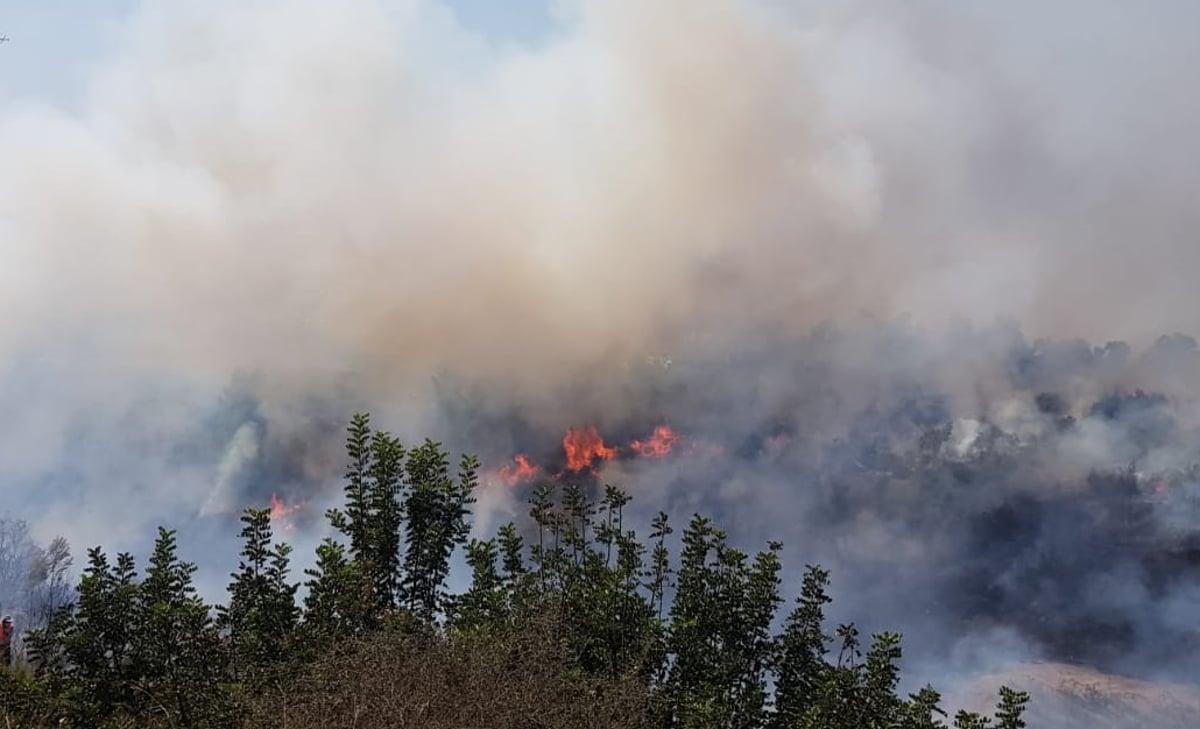 שריפת ענק: 50 תלמידים פונו מבית ספרם