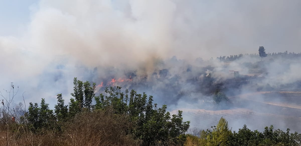 שריפת ענק: 50 תלמידים פונו מבית ספרם