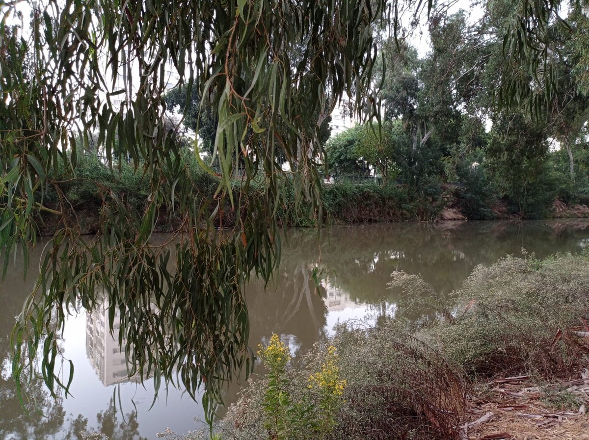 בין חוף תל ברוך לחוף הצוק • תיעוד מרהיב