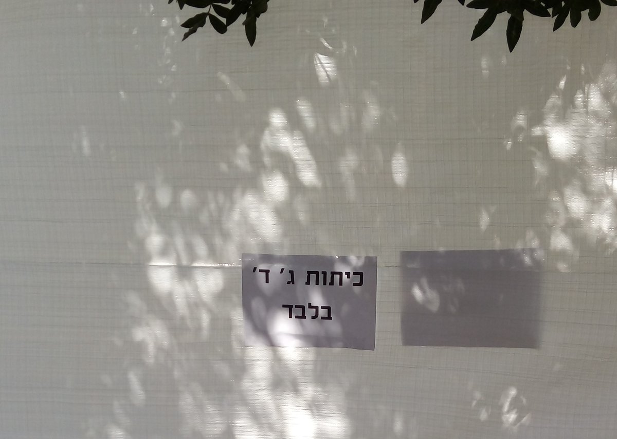 השטייגען של בחורי 'היישוב' בתל אביב. צפו