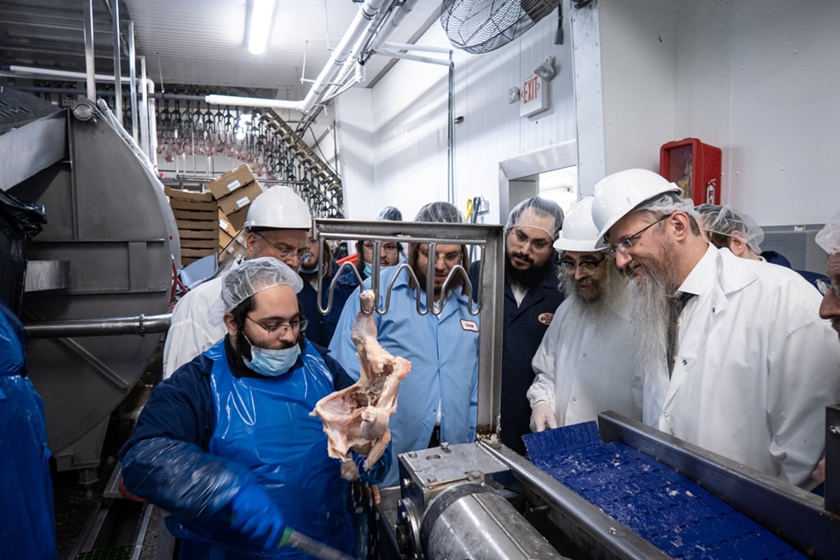 תיעוד: רבה הראשי של רוסיה ביקר בסאטמר