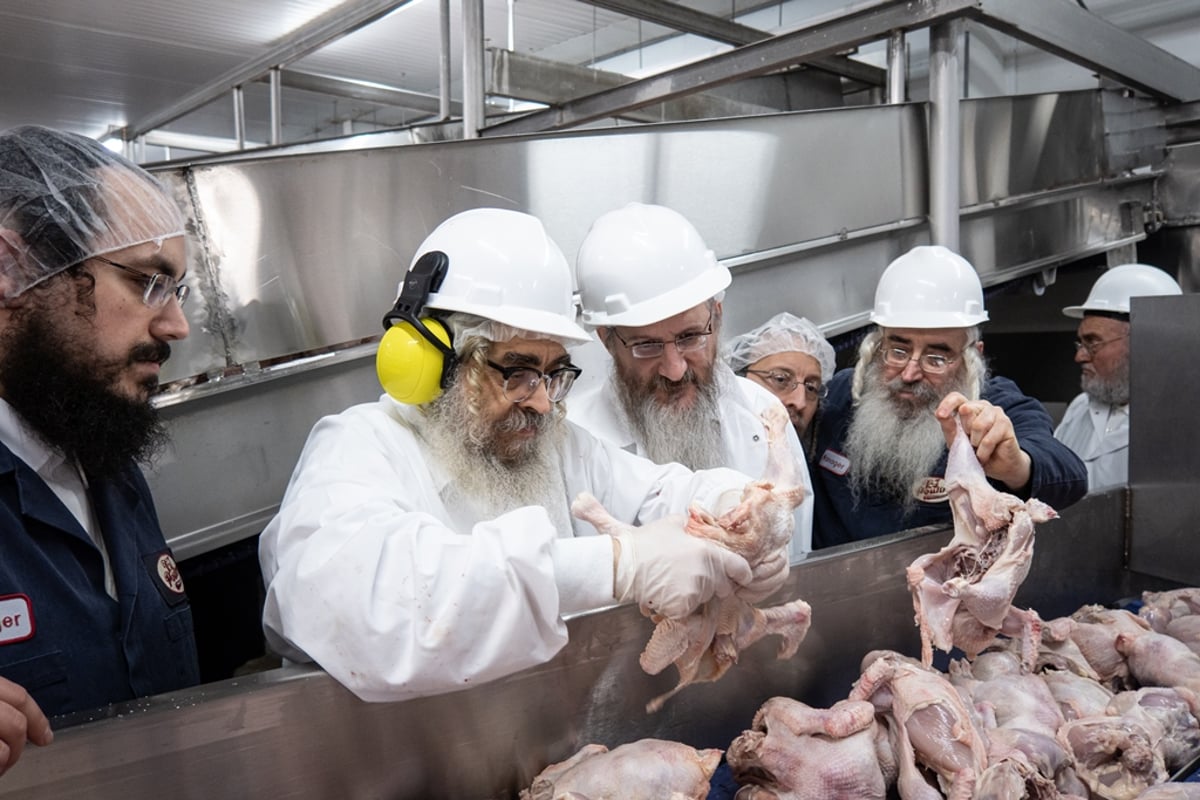 תיעוד: רבה הראשי של רוסיה ביקר בסאטמר