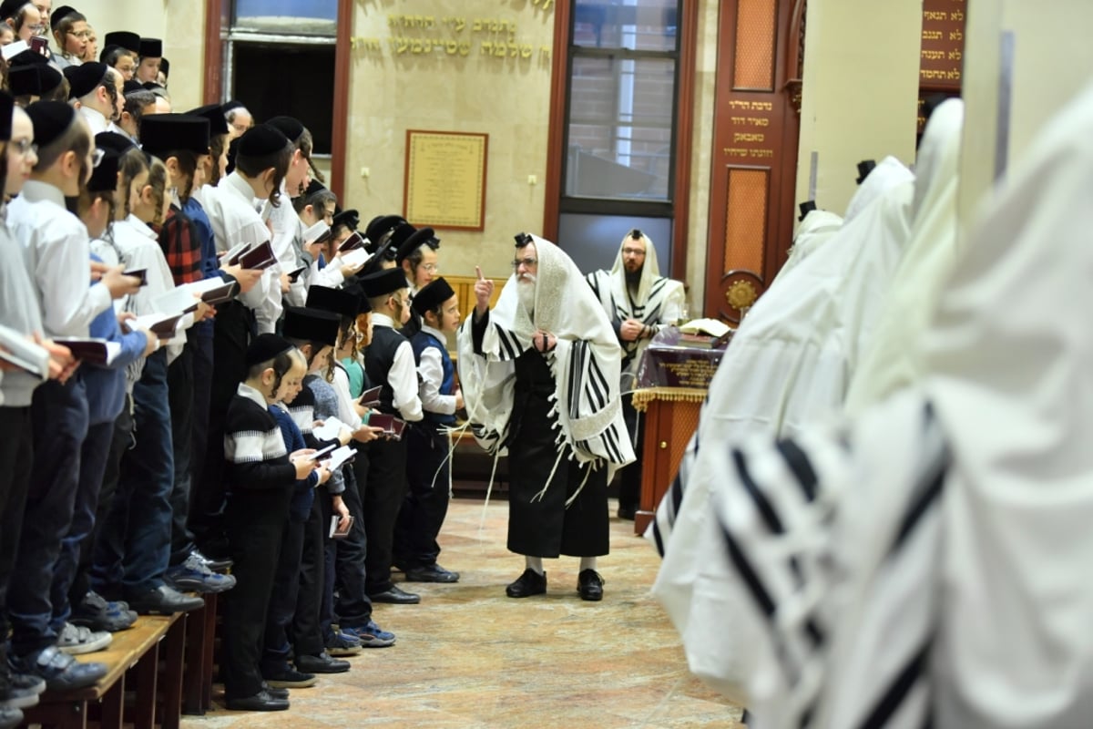 הרבי מויז'ניץ ביקר אצל האדמו"רים בארה"ב